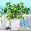 2015 Mini cheap wooden vase