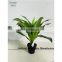 SAS201605 Artificial Green Plant,Indoor Fake Ornamental Plant Bonsai