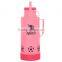 colored Plastic Thermos Vacuum Flask LYR-110