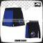 Mens Mini Short Very Convenient Mixed Martial Art Shorts