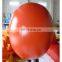 inflatable egg buoy with customized logos for swim event