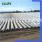 Quick delivery pla biodegradable material with good quality