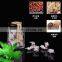 moxa-moxibustion Navel paste moxibustion appliance  body Massage & Relaxation from Beauty & Health massage