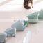 Amazon Hot Sell Lovely Ceramic Pet Feeder Dogs Cats Water Bowl Neck Protection