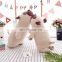 Manufacturer Custom Cute Soft Pillow Dog Decorative Pillow  Plush Stuffed Toy