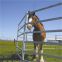 Portable Metal Livestock Cattle Panels/Steel Animal Fence For Cattle Goat