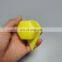 33mm Dustite Loose Wheel Nut Indicator/wheel Check Indicator With Dust Cap HBS33 PP