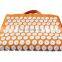 Wholesale rate healing of back pain solution Indian made acupressure mat