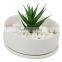 Round Shape White Glazed Ceramic Vase Succulent Planter Pot for Home Decoration