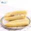 Sinocharm BRC A approved whole cut IQF baby corn Frozen Baby Corn