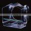 Acrylic Window Bird Feeder with Strong Suction Cups Bird House Bird Feeder