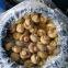 Hongos enteros y rodajas de hongos en salmuera o con dióxido de azufre (SO2) en tambores. SETA conservada en tambor