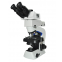 Fluorescence microscope MF23