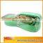 Green color 50MM 2" Ratchet Lashing/2inch Ratchet Tie Down Strap with Plastic Handle safety belt with hardware fitting J hooks