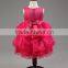 Lastest wholesale boutique handmade embroidered princess frocks girls party dresses TR-WS14