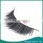 China Wholesale 10 Pairs Long Lashes Eyelash Extensions