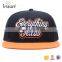 fashion oem sport cap wholesale snapback hats