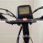 2016 new design 350W mid motor city electric bike