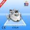 Protable 5 In1 Criolipolisis Best Fat Reduce Lipo Laser And Criolipolisis Slimming