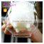 2016 new Double Wall Glass Milk Glass Cup Cow Nipple Glass