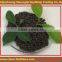 Factory direct supply diammonium phosphate DAP 18-46-0 and NPK compound fertilizer