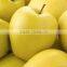 Supply fresh apple golden delicious for hot sale