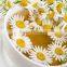 Herbal Chamomile tea bulk supplier