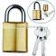 570 replaceable cylinder brass padlock