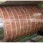 PPGI steel coil for processing trade