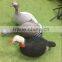 hunting decoys turkey flocked/3D turkey decoys