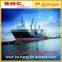 balance car by sea freight from ningbo to new zealand--skype: vincentchinabohang