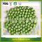 Hot Sale 100% Natural Freeze Dried Green Pea