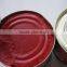 Drum tomato paste and concentrate tomato paste and aseptic package tomato paste