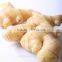 Fresh Young Ginger,Yellow Ginger,Fresh and Air Dry Ginger