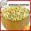 High quality organic pine nuts