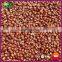 Best Sale Yanshan Fresh Chinese Chestnut Nuts With Bright Color