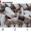 cultivated mushrooms frozen pleurotus eryngii price