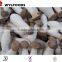 most popular frozen pleurotus eryngii 2015