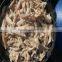 white oyster mushroom in brined sliced oyster mushrooms in salted brined oyster mushroom strip
