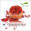 Wholesale Organic Goji Berries