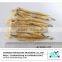 Chinese bombay duck fish