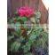 Outdoor Flower Metal Stick