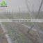 China manufacture UV resistant netting for fruit files anti insect net wholesale