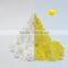 Sunlight coloring pigment for silk screen printing