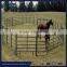 Oval Tube Rail Welded and Hot-dipped Gal Cattle Panel/ Cattle Gate ( Standard Australia Fence)