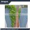Agricultural soilless vertical seed germination foam tray