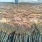 Nice Vietnam broom straw