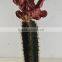 SJ3001101 Artificial cactus plant/cheap artificial plants/red cactus plant