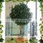 Located in china Hotel hall high simulation competitive price all kinds of 10ft high bonsai banyan tree plastic