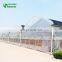 Commercial Farm Greenhouse For Sale